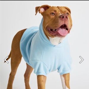 Comfrt Pastel Paw Hoodie - Limited Edition: Baby Blue - Small
